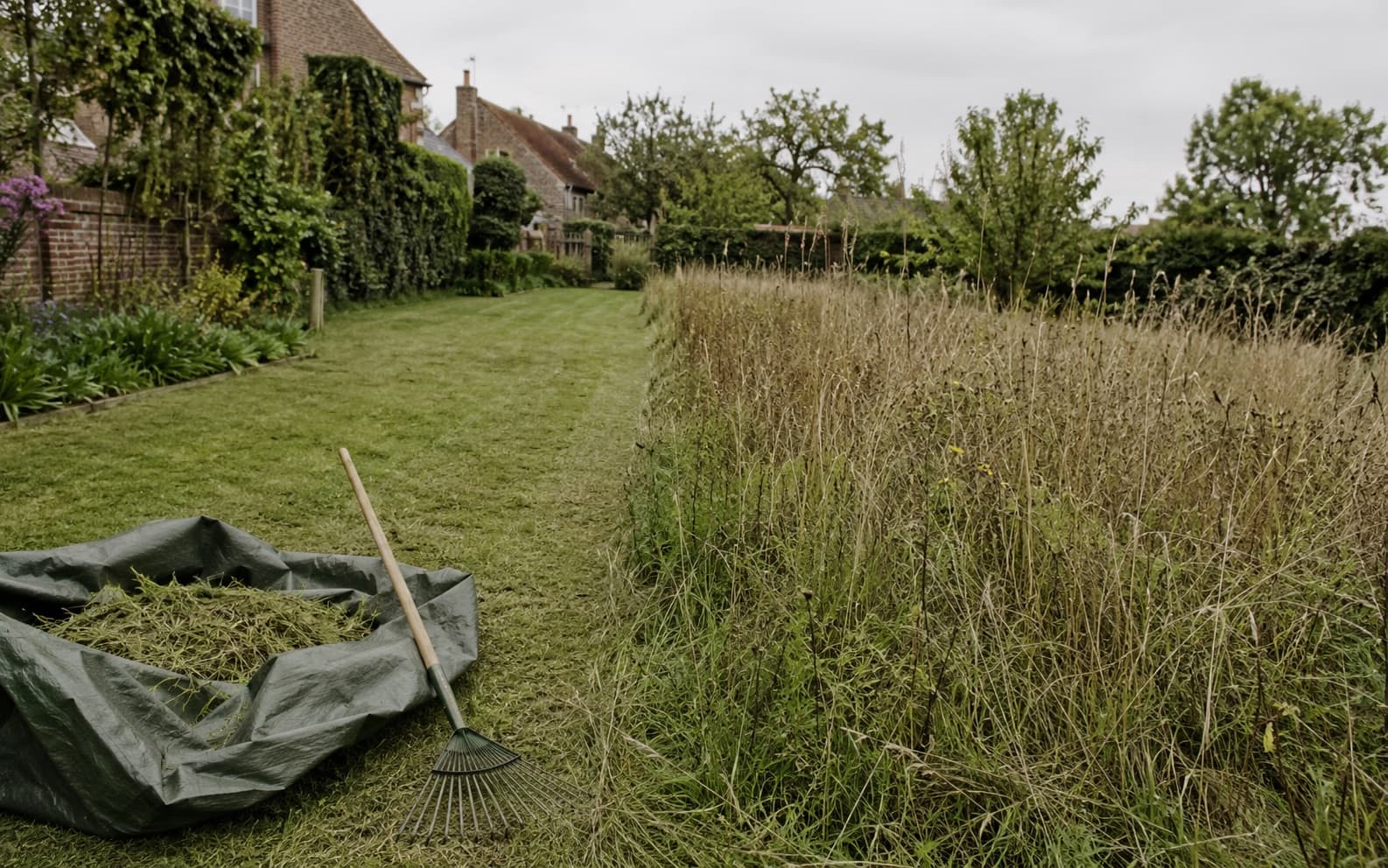 Remise au propre d'un jardin : pelouse à moitié fauchée, râteau et bâche de déchets verts.